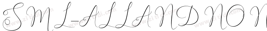 SML_ALLANDNONE Bold字体转换
